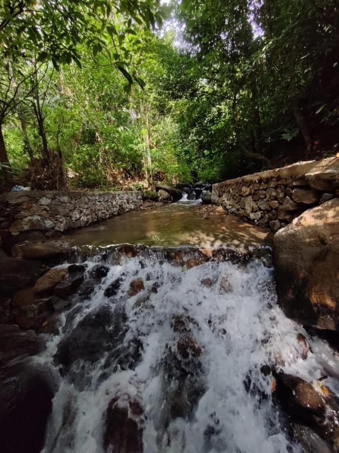 Forest And River Edge Resort Kannur Extérieur photo