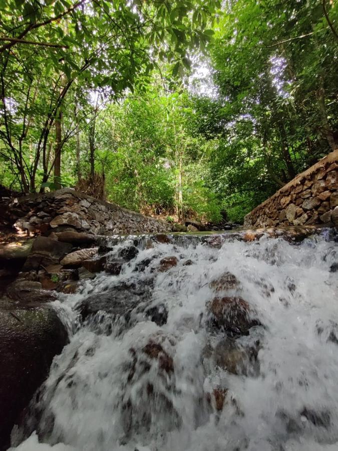 Forest And River Edge Resort Kannur Extérieur photo