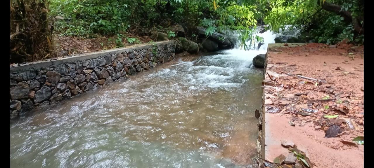 Forest And River Edge Resort Kannur Extérieur photo