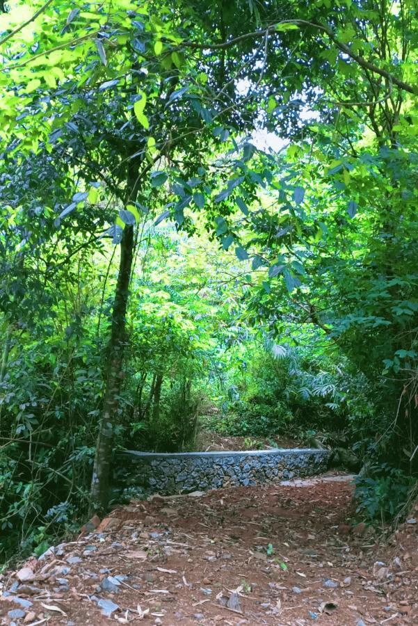Forest And River Edge Resort Kannur Extérieur photo