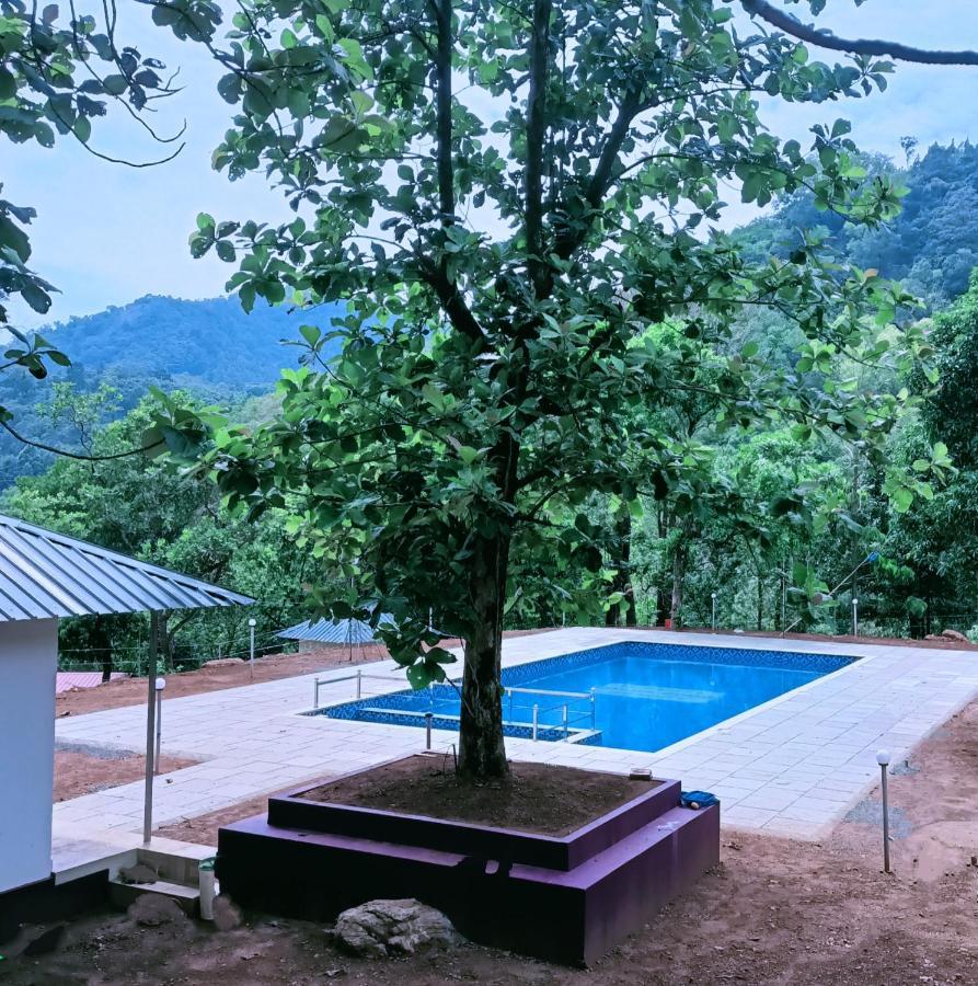 Forest And River Edge Resort Kannur Extérieur photo